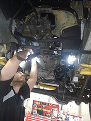 Gallery - Image 192.jpg